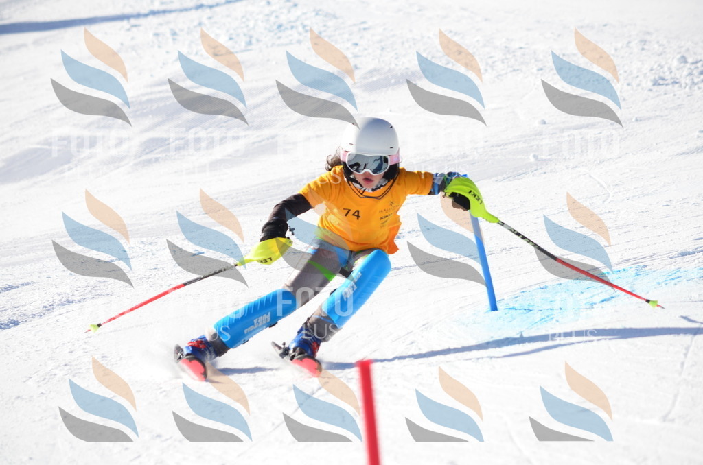 C5915 | holidayphoto