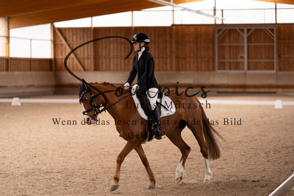 A7507007 | Turnier/Reitfotograf