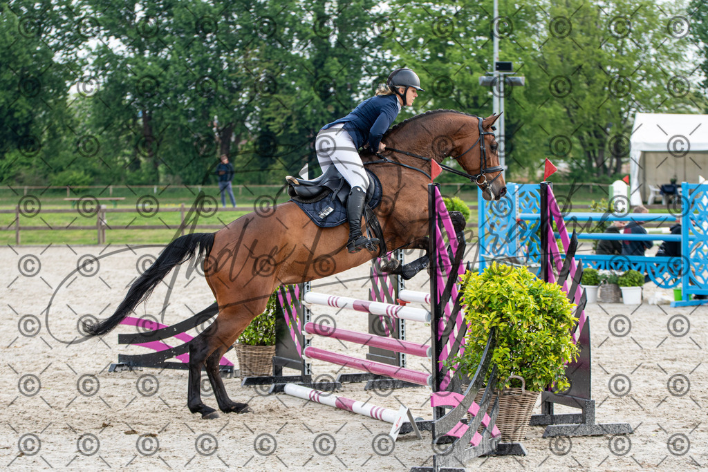 KPT_1983 | andre_photographic