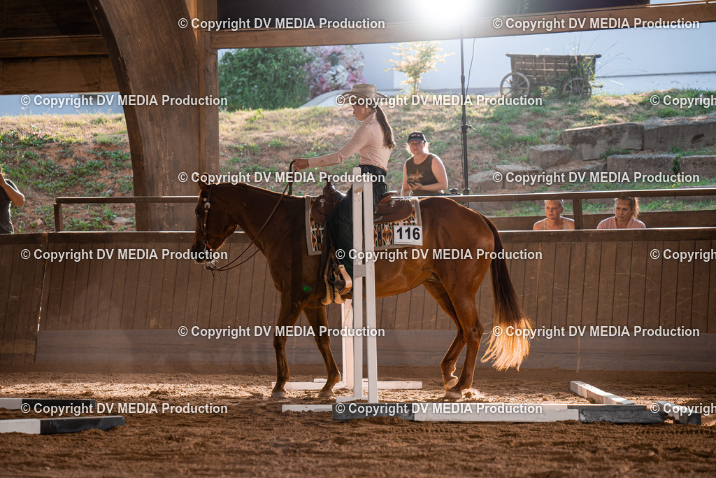 NE101193 | dv-media-shop - Realisiert mit Pictrs.com