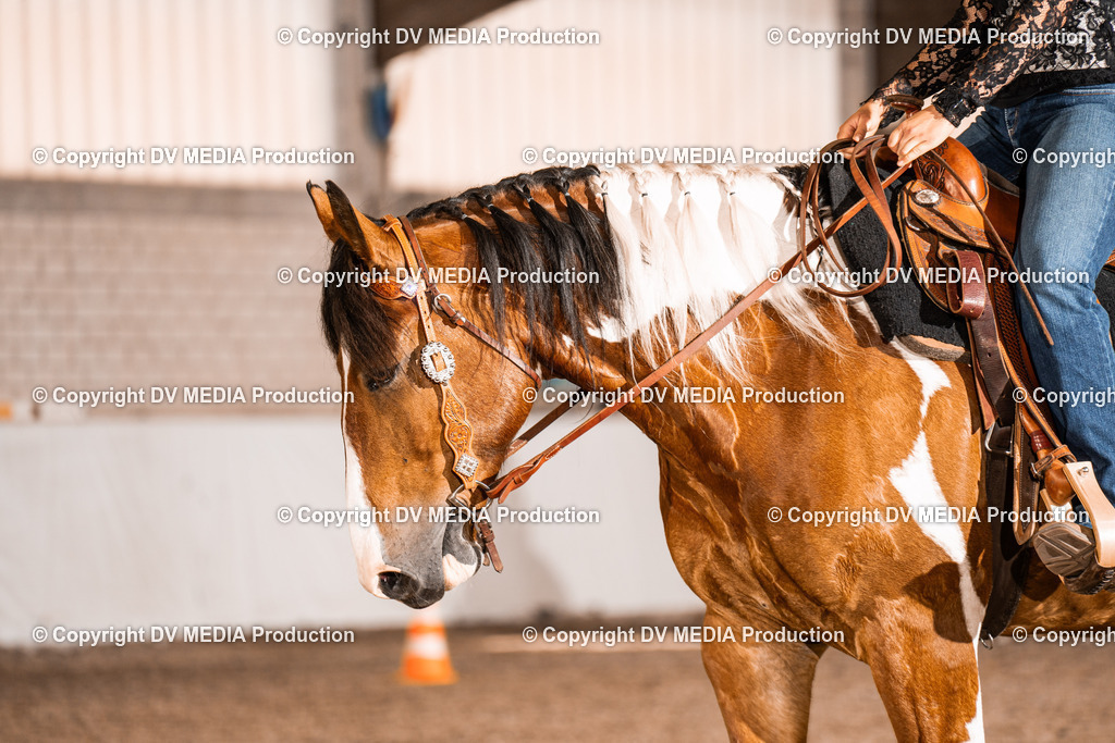 ZH200333 | dv-media-shop - Realisiert mit Pictrs.com