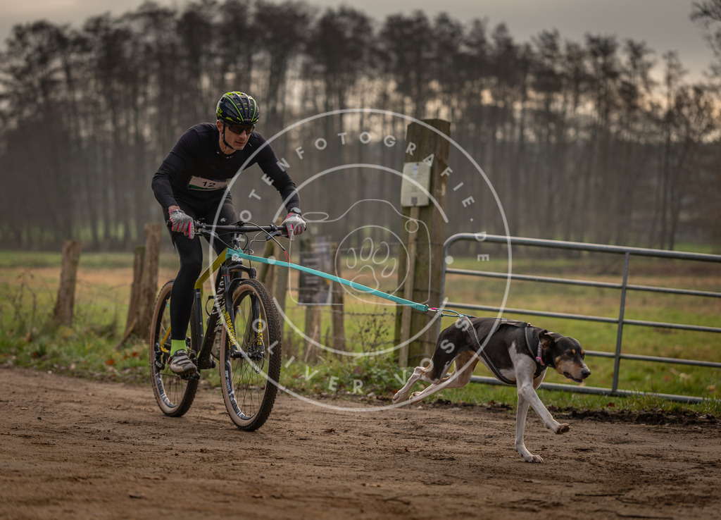 Pfotenfotografie_DV3A1791 | Hundefotografie, Tierfotograf, Pfotenfotografie, Fotoshooting Hund, Hunde Portrait, Hundesport, Hundeportraits, Heideshooting, Hunde, Sportfotograf, Hundefotograf, Turnierhundsport, THS,  - Realisiert mit Pictrs.com