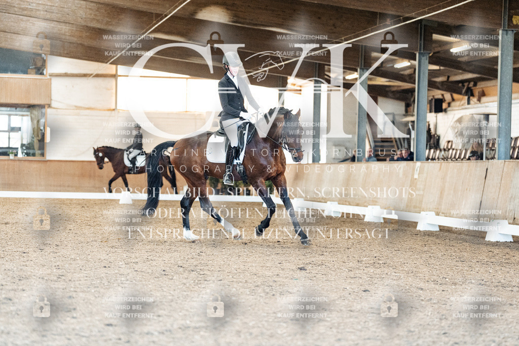 CK908588 | Turnierfotografie Pferdefotografie Trier Rheinland-Pfalz Pferdesport Reitsport Tierfotografie Sportfotografie Pferdevideo Pferdevideografie Equestrianvideography equestrianphotography  - Realisiert mit Pictrs.com