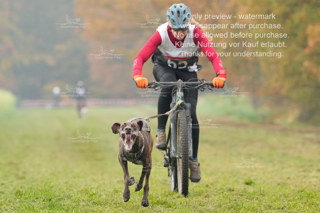 AusschnitteSa-108 | stephaniefillaphotographie - Realisiert mit Pictrs.com