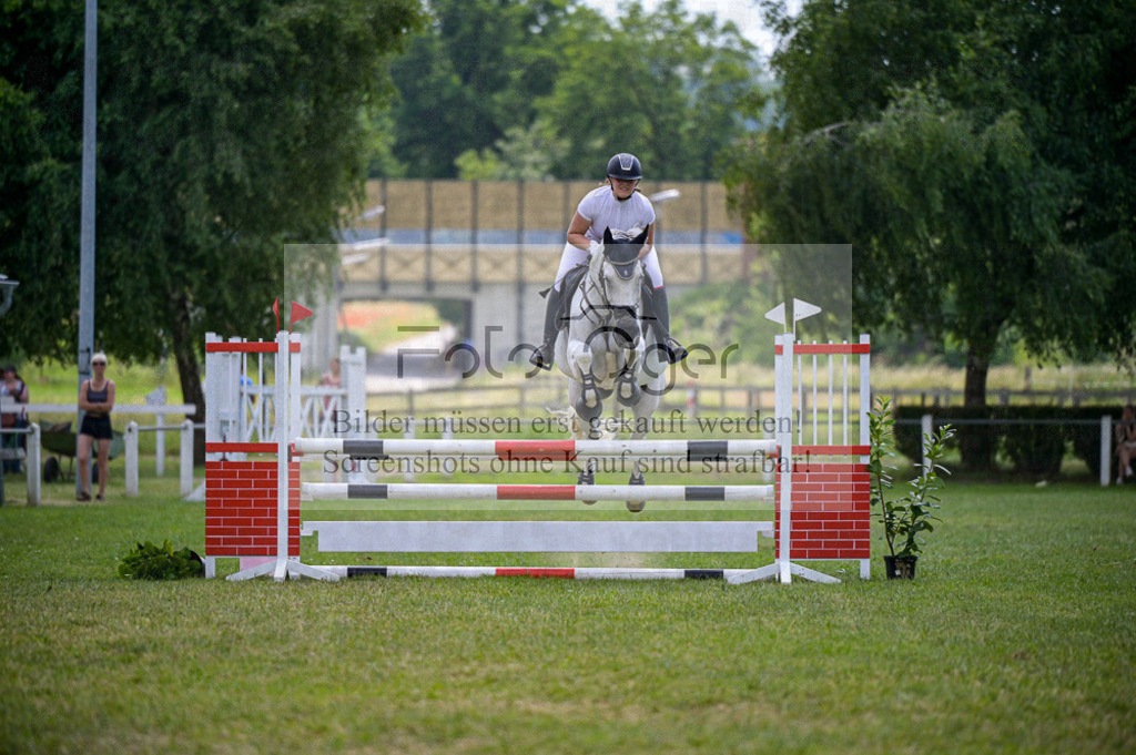 Reitturnier Voxtrup | Entdecke hochwertige Reitturnierfotos von Foto Oger. Professionell, emotional und authentisch – jetzt Lieblingsmomente im Shop bestellen. - Realisiert mit Pictrs.com