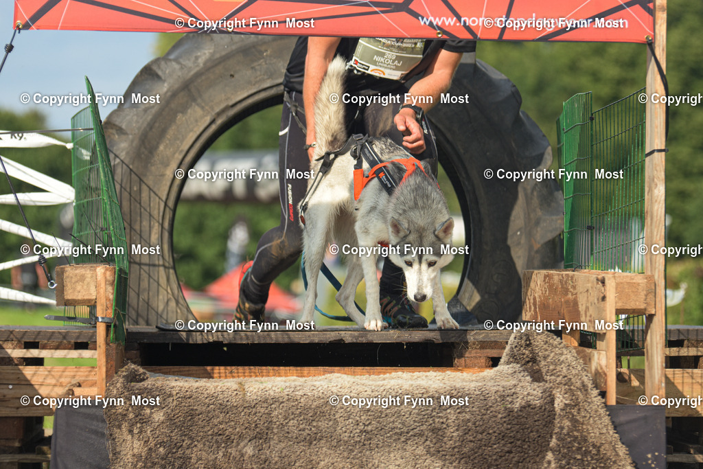DSC_0292 | Hallo und herzlich Willkommen auf meiner Shop-Seite Fynn Most.

Ich wünsche Dir viel Spaß beim stöbern durch die Bilder, wenn Du Fragen hast oder Bilder vermisst, kannst du mir gerne eine Nachricht schreiben. - Realisiert mit Pictrs.com