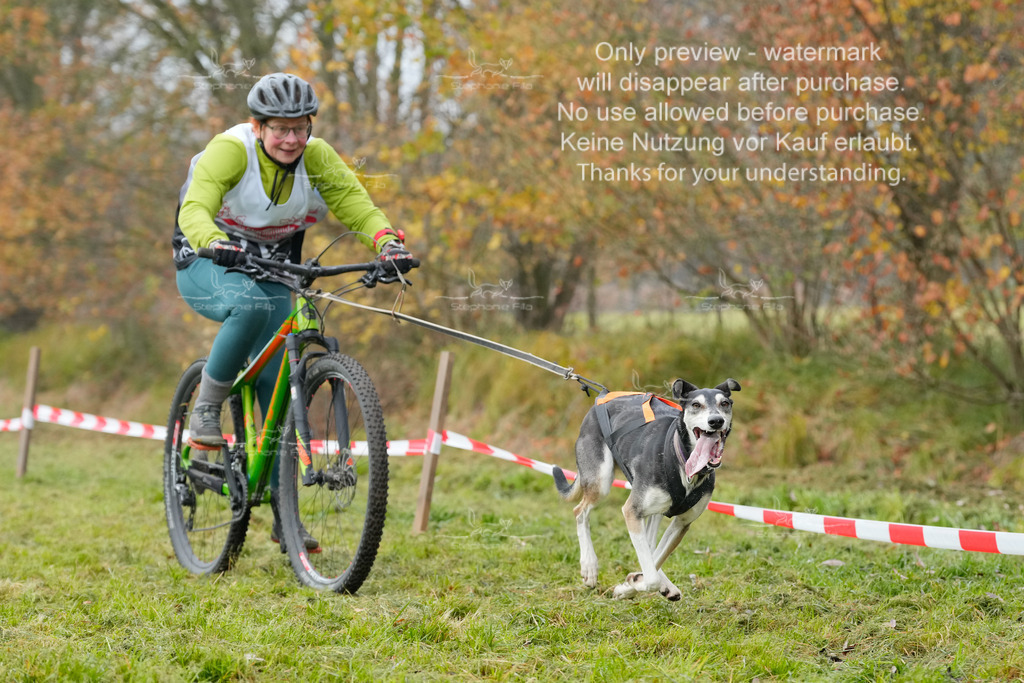 Visbeck_Sa_Bike-234 | stephaniefillaphotographie - Realisiert mit Pictrs.com