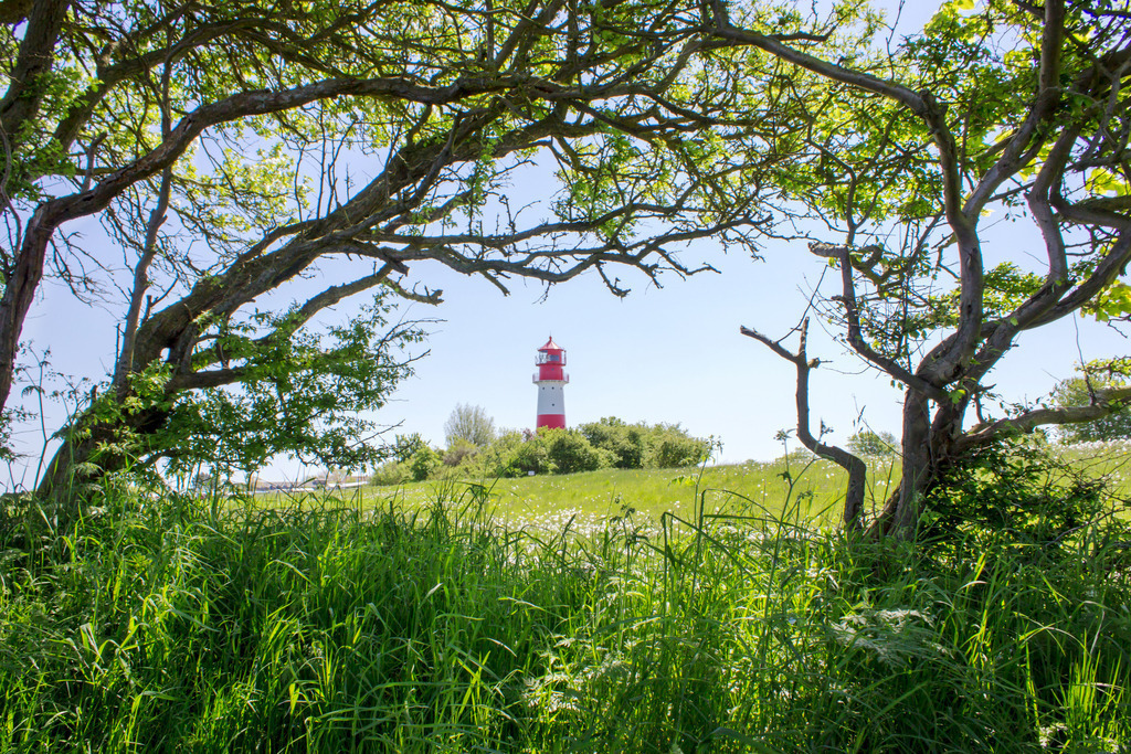 Wandbild: Leuchtturm in Frühlingsgrün in Falshöft | Dieses Wandbild im Querformat zeigt einen der schönsten Leuchttürme an der Ostseeküste in Falshöft.  Holen Sie sich dieses idyllische Wandbild nach Hause in Ihr Wohnzimmer, Küche, Schlafzimmer oder in Ihre Ferienwohnung, Büro, den Arbeitsplatz oder Ihre Praxis. Es ist als Leinwand, als Acrylglas/Glasbild und Aluminium-Platte in vielen Abmessungen erhältlich. - Realisiert mit Pictrs.com