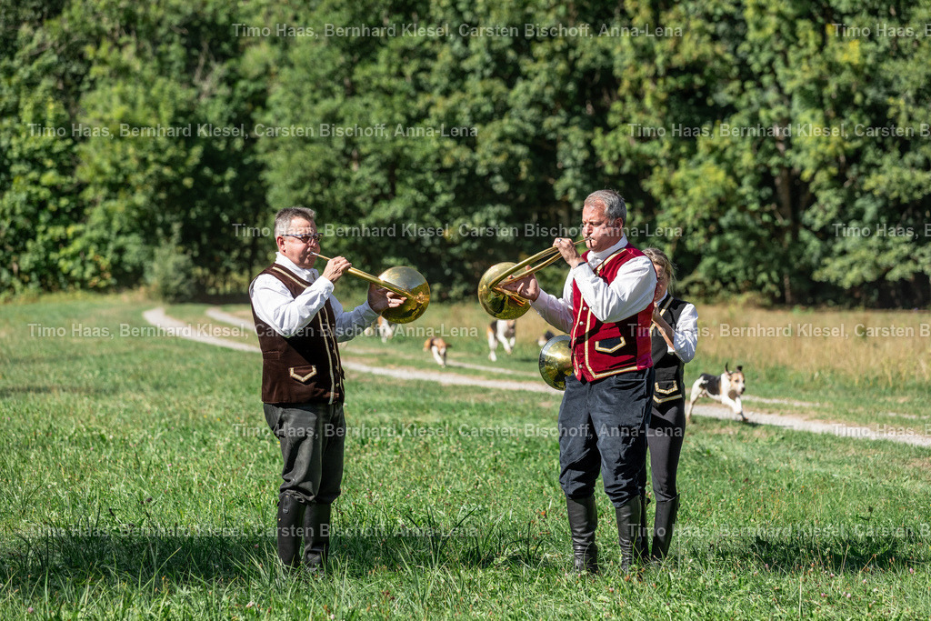 _90A5835 | foto-team-bernhard - Realisiert mit Pictrs.com