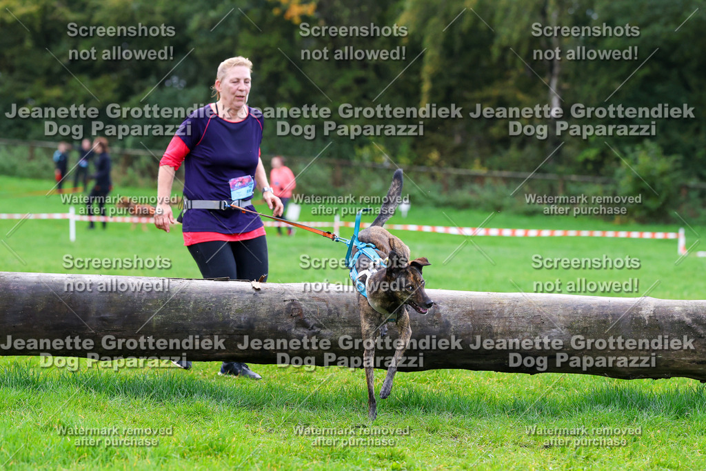 Dog Paparazzi -  SD1026-1125 | Dog Paparazzi Jeanette Grottendiek Fotografie & Videografie - Realisiert mit Pictrs.com