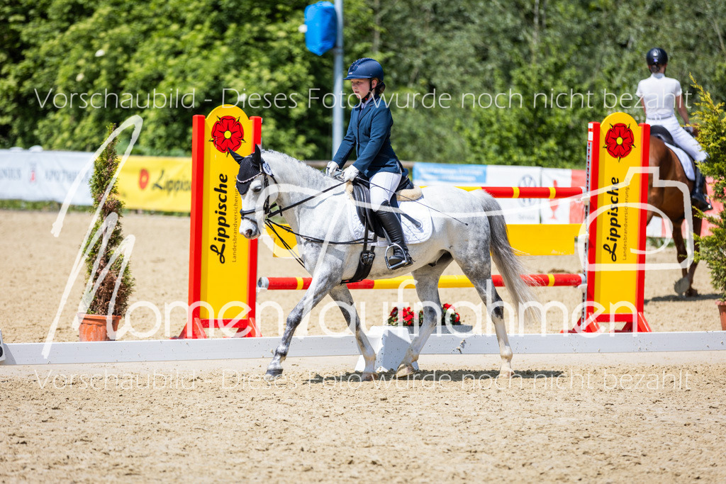 Donop24-RWB-040 | MomenTaufnahmen Pferdesportfotos
