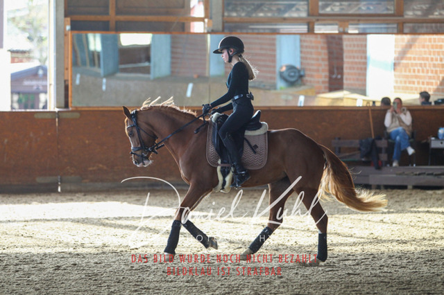 DKP42609 | Turniersportfotografie; Pferdefotografie; Dressurfotografie
