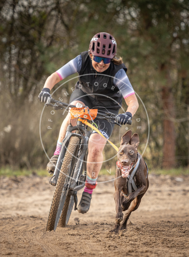 Pfotenfotografie_DV3A8094 | Hundefotografie, Tierfotograf, Pfotenfotografie, Fotoshooting Hund, Hunde Portrait, Hundesport, Hundeportraits, Heideshooting, Hunde, Sportfotograf, Hundefotograf, Turnierhundsport, THS,  - Realisiert mit Pictrs.com