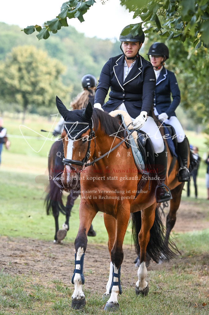 DSC_5814 | Pferde- und Turnierfotografie in Westsachsen. Pferdeportraits, Auftragszeichnungen und intuitive Kunst.