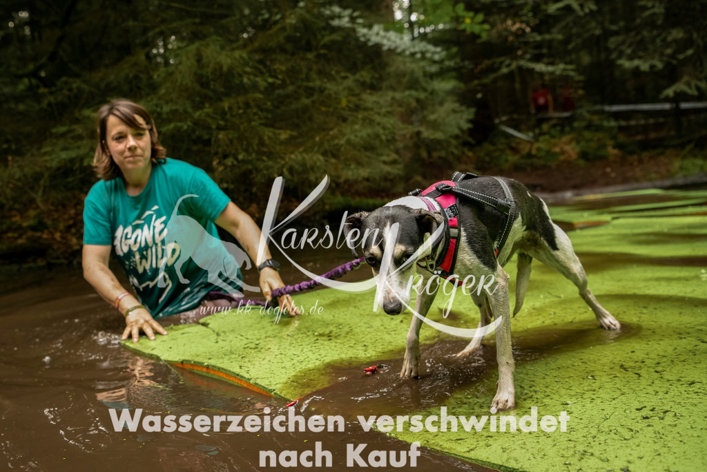 1210_ZZ92901-Bearbeitet | kk-dogfotos