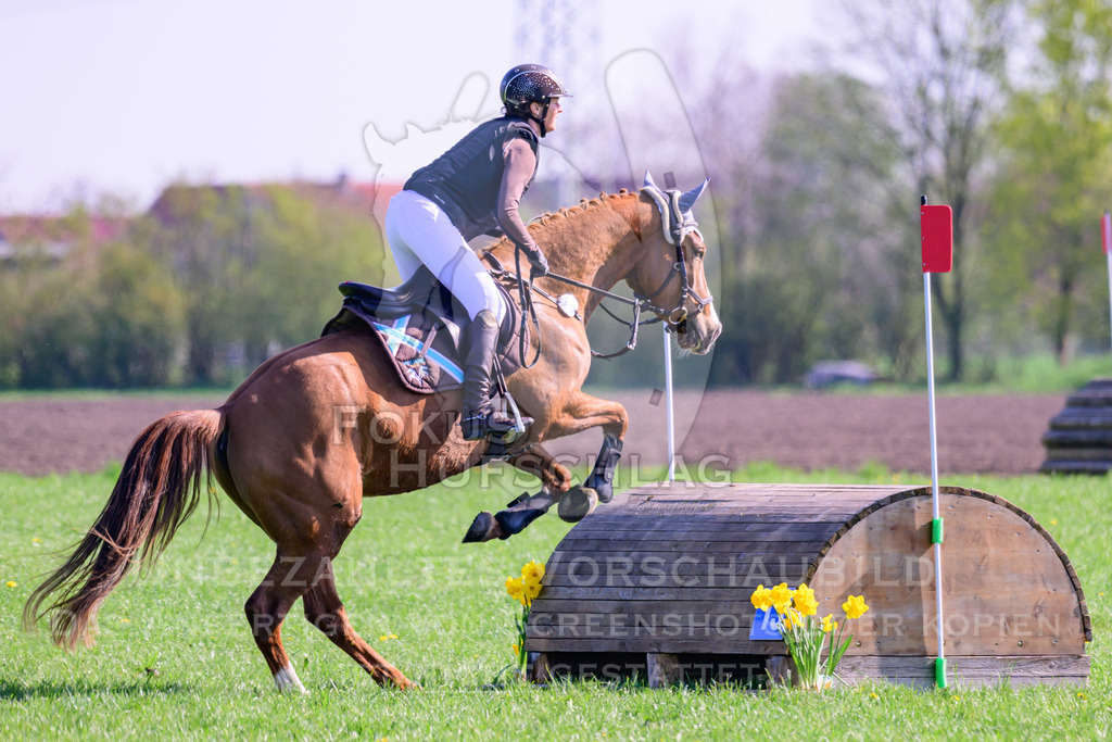 18042026-Gernlinden-03-0357 | Fokus Hufschlag Fotografie - Realisiert mit Pictrs.com