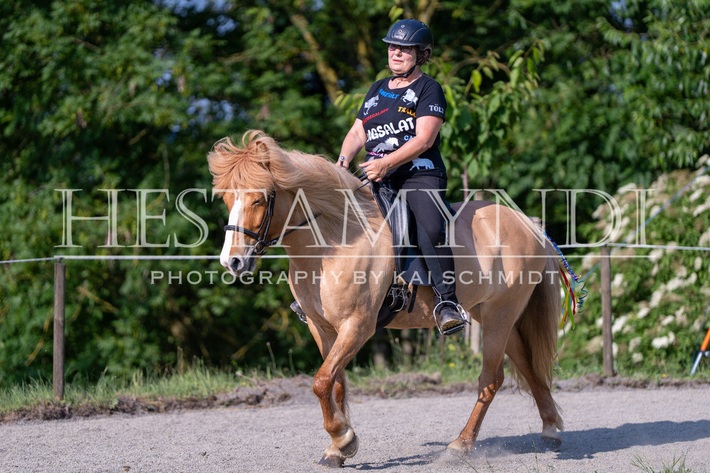 KAI07188 | Ihr sucht einen Fotografen für eure nächste OSI? Ich begleite auch euer Turnier für Islandpferde fotografisch.  - Realisiert mit Pictrs.com