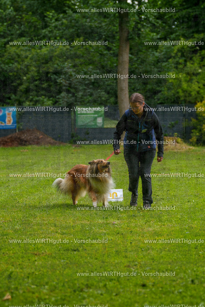 @allesWIRTHgut_Tierfotografie - www.allesWIRTHgut.de - 7R503069 | Professionelle Tierfotografie in Mönchengladbach von Daniel Wirth (allesWIRTHgut). Liebevolle & natürliche Bilder von Hunden & Katzen für unvergessliche Erinnerungen.