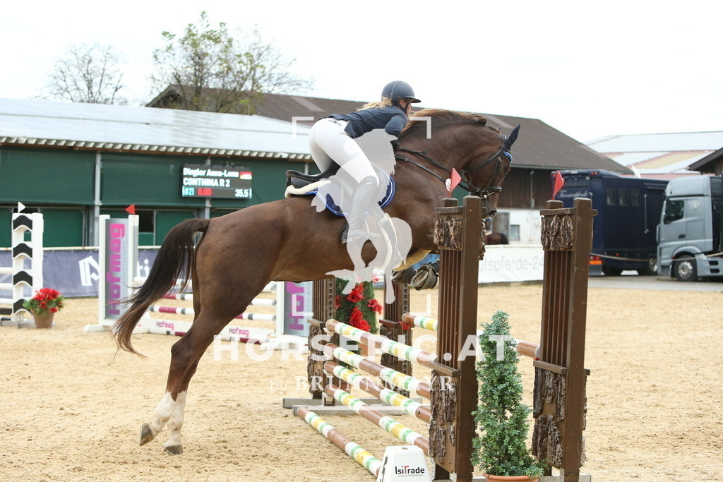 DL2Q0505 | Willkommen bei Brunnmayr - Design & Fotografie – Ihrem Spezialisten für Reitturniere und Pferdeveranstaltungen in Oberösterreich, Salzburg und Bayern! Seit über 17 Jahren sind wir leidenschaftlich dabei.