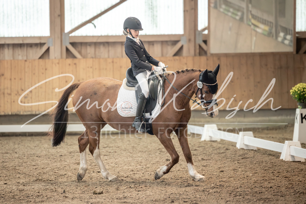 20251011-_3LI6866 | Tierfotografie Pferde, Hunde, Katzen, Haustiere.
Turnierfotografie Reitturniere, Reiten, Springreiten, Dressur in Hanau, dem Main-Kinzig-Kreis und dem Rhein-Main- Gebiet um Frankfurt