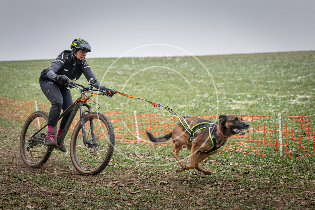Pfotenfotografie_DV3A1560 | Hundefotografie, Tierfotograf, Pfotenfotografie, Fotoshooting Hund, Hunde Portrait, Hundesport, Hundeportraits, Heideshooting, Hunde, Sportfotograf, Hundefotograf, Turnierhundsport, THS,  - Realisiert mit Pictrs.com