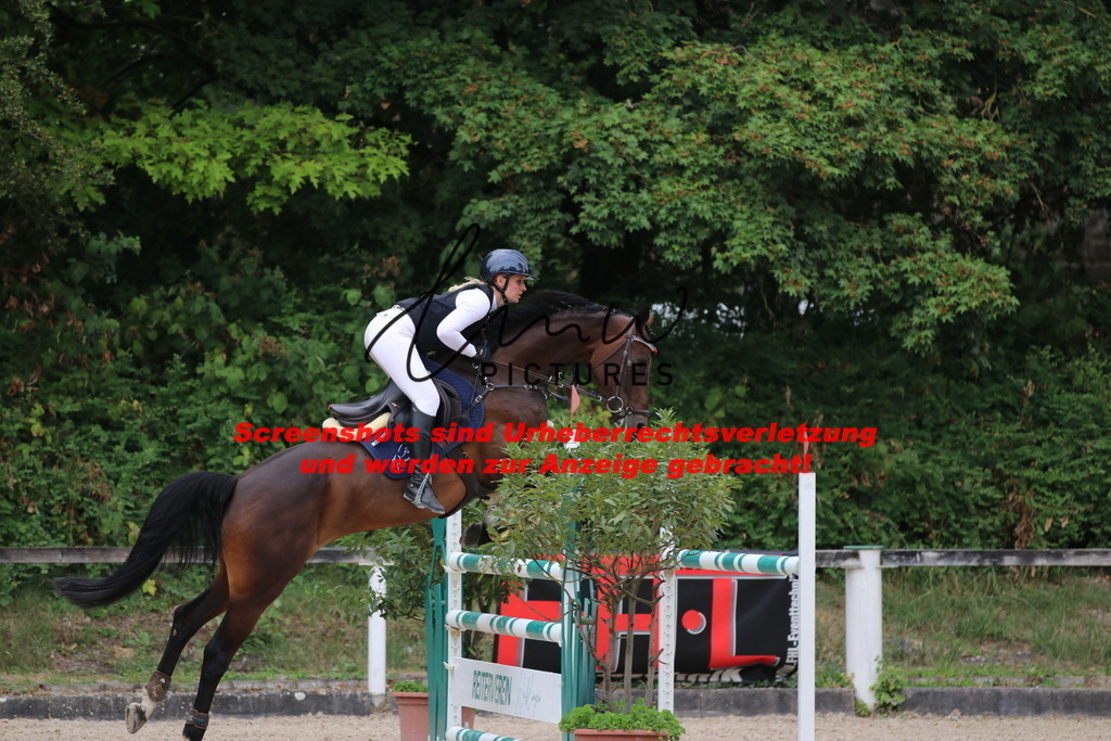 IMG_2315 | lmwpictures - Realisiert mit Pictrs.com