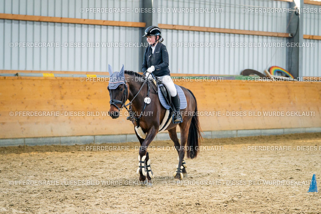 DSC00918 | Pferdegrafie