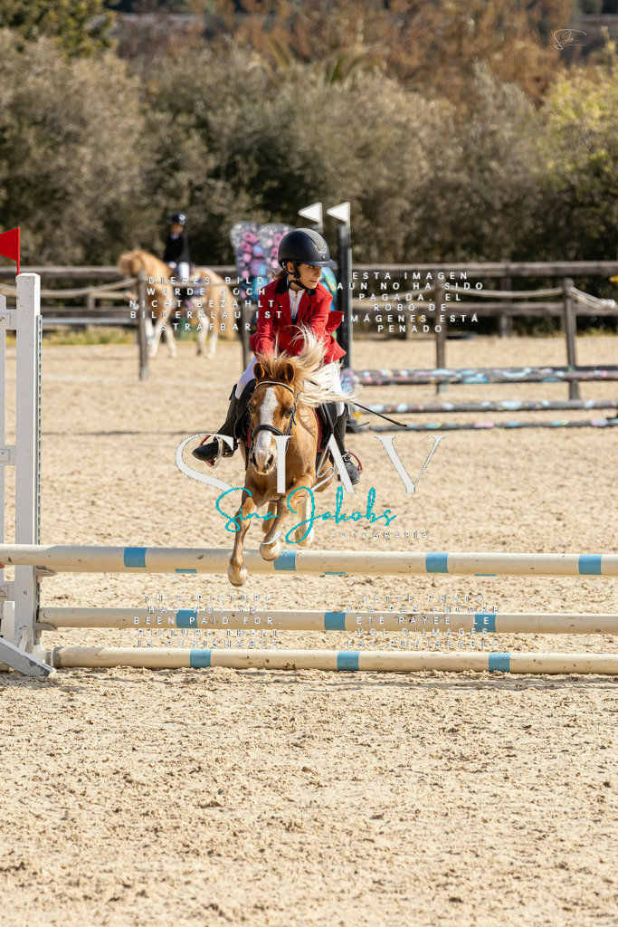 IMG_4353 | s-jay-photography - Realisiert mit Pictrs.com