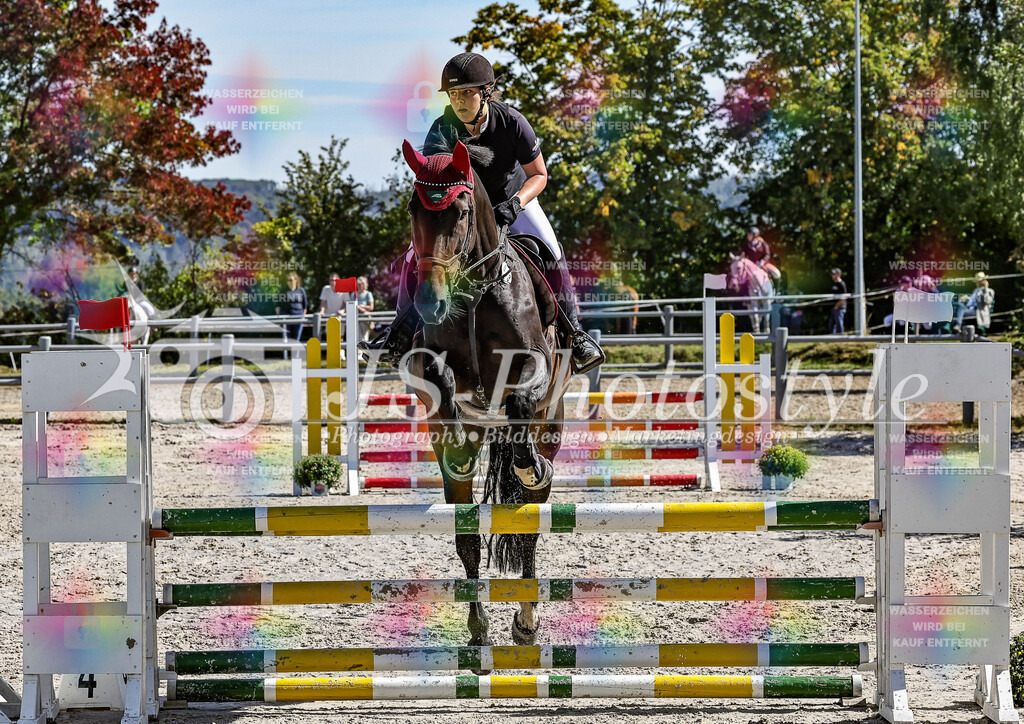 20250907_12_Springprf. Kl. A _ 90cm-93 | JS-PHOTOSTYLE