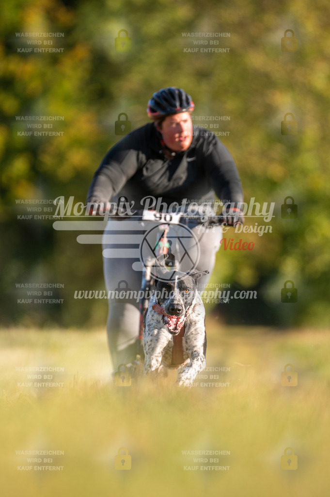CDLBDB_15_10_2023_Dimanche-225 | PayLife