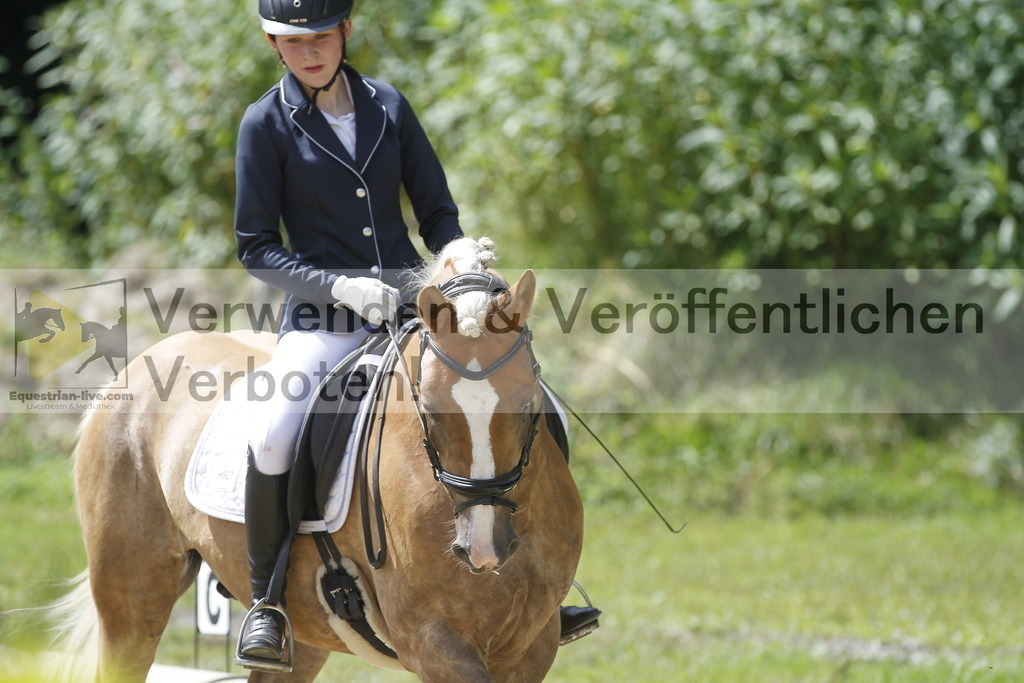_MG_0767 | equestrian-live-com