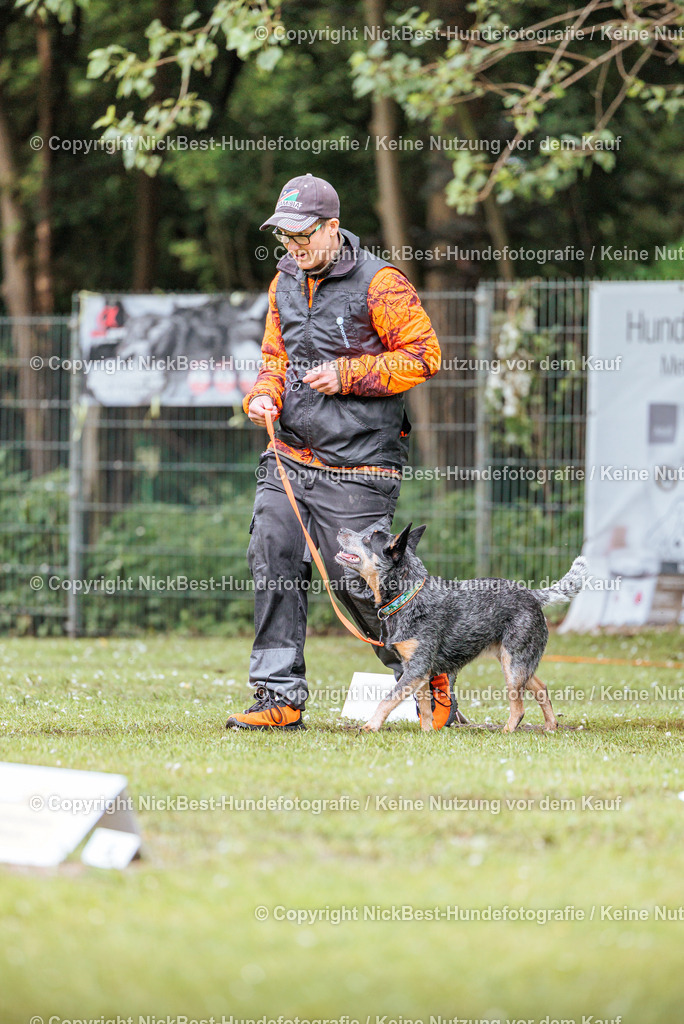 RO-Blumenthal-2026-Nickbest-Hundefotografie-1109 | Dein Hund! Dein Moment! Deine Erinnerungen! Hundefotografie in Bremen Blumenthal. Ich fange die besonderen Momente deines Vierbeiners ein – ob Indoor mit Blitzanlage oder in der freien Natur. Sicher dir dein Moment und dein Termin für eure Erinnerungen.