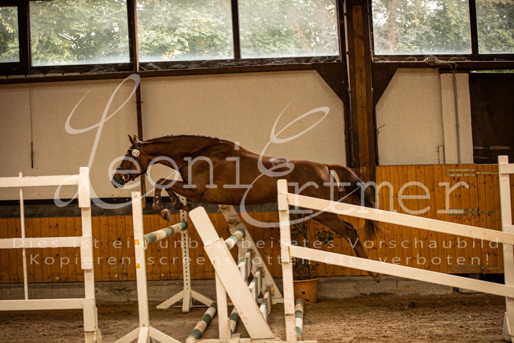 2FS_L00087 | Leoni Ertmer Photography - Realisiert mit Pictrs.com