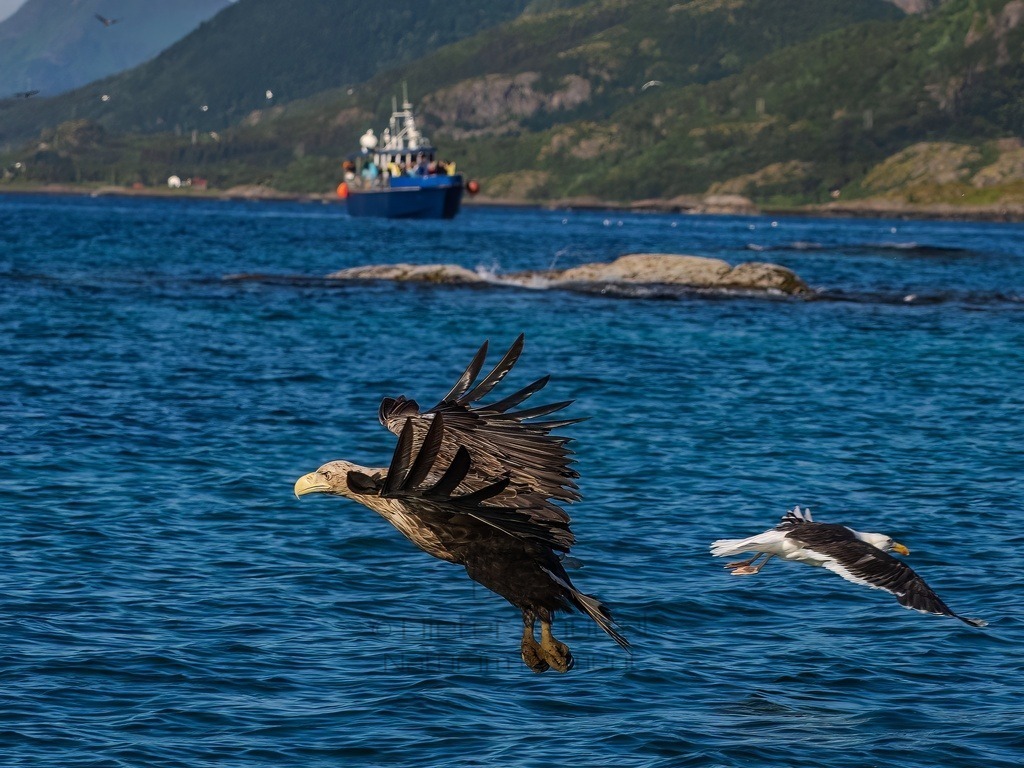 P1001613-LR-topaz-denoise-enhance | Natur im Moment - Realisiert mit Pictrs.com