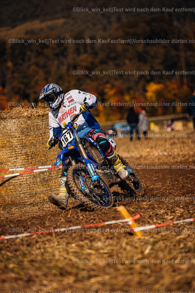 E68A7961 | blick_win_kel