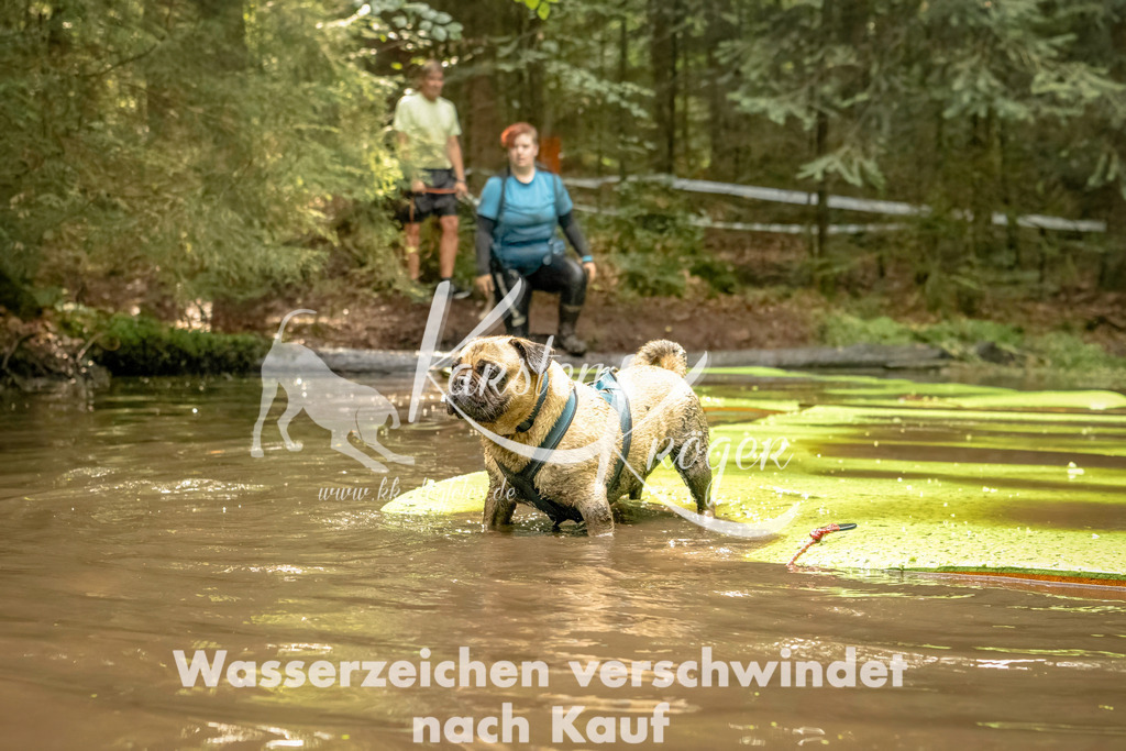 1414_ZZ91670-Bearbeitet | kk-dogfotos