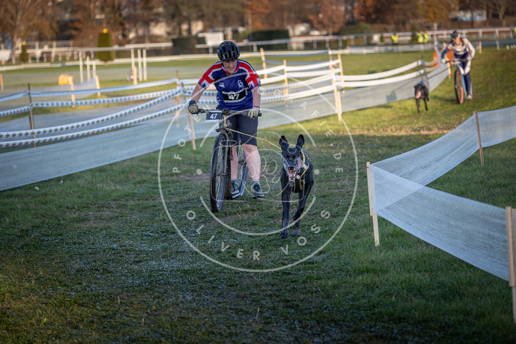 CaniXpix_0L8A2468 | Hundefotografie, Tierfotograf, Pfotenfotografie, Fotoshooting Hund, Hunde Portrait, Hundesport, Hundeportraits, Heideshooting, Hunde, Sportfotograf, Hundefotograf, Turnierhundsport, THS,  - Realisiert mit Pictrs.com