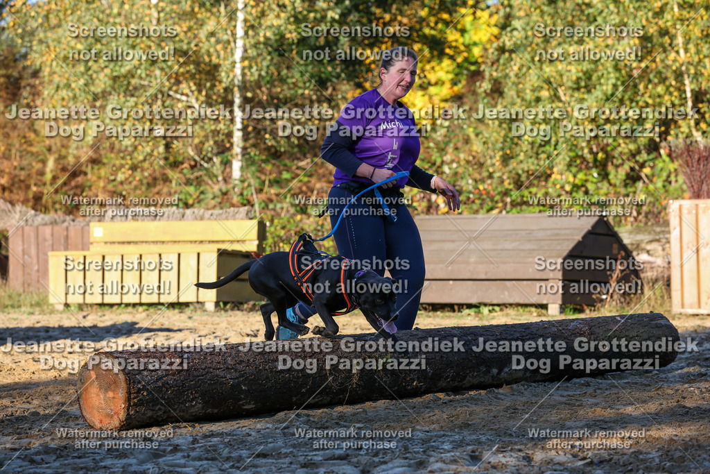 Dog Paparazzi - Strongdog 10-25-1068 | Dog Paparazzi Jeanette Grottendiek Fotografie & Videografie - Realisiert mit Pictrs.com