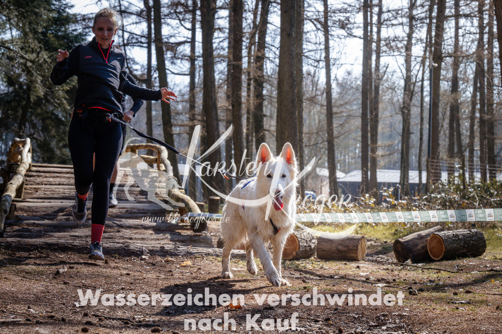 1335_ZZ95745 | kk-dogfotos