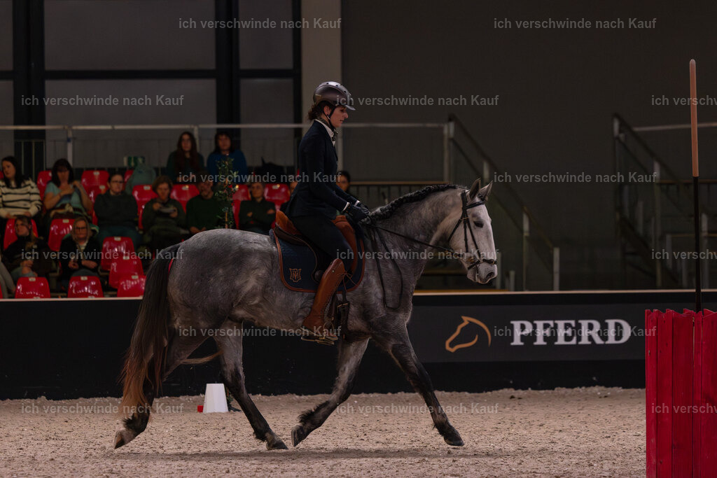 JoseraCup-4 | working equitationturnier fotograf videograf stoibphotography marixx film working equitation deutschland reitsport turnierfotografie eventfotografie equestrian events