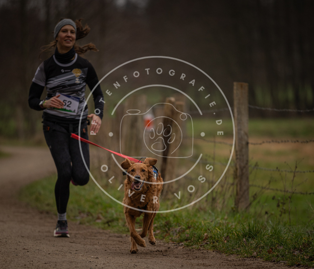 Pfotenfotografie_DV3A2920 | Hundefotografie, Tierfotograf, Pfotenfotografie, Fotoshooting Hund, Hunde Portrait, Hundesport, Hundeportraits, Heideshooting, Hunde, Sportfotograf, Hundefotograf, Turnierhundsport, THS,  - Realisiert mit Pictrs.com