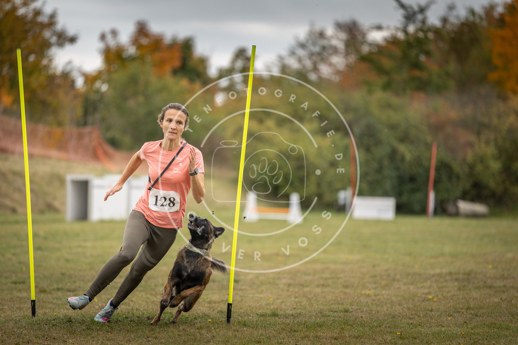 Pfotenfotografie_DV3A7633 | Hundefotografie, Tierfotograf, Pfotenfotografie, Fotoshooting Hund, Hunde Portrait, Hundesport, Hundeportraits, Heideshooting, Hunde, Sportfotograf, Hundefotograf, Turnierhundsport, THS,  - Realisiert mit Pictrs.com
