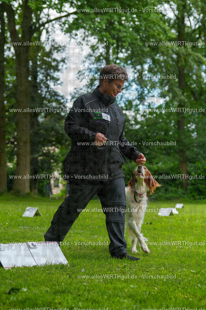 @allesWIRTHgut_Tierfotografie - www.allesWIRTHgut.de - 131433-7R509943 | Professionelle Tierfotografie in Mönchengladbach von Daniel Wirth (allesWIRTHgut). Liebevolle & natürliche Bilder von Hunden & Katzen für unvergessliche Erinnerungen.