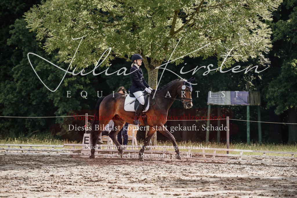 DSC_8784 | Pferde- und Turnierfotografie in Westsachsen. Pferdeportraits, Auftragszeichnungen und intuitive Kunst.