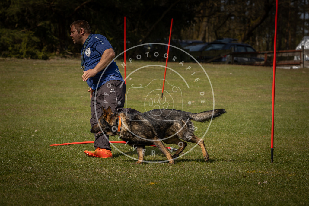 Pfotenfotografie_DV3A4768 | Hundefotografie, Tierfotograf, Pfotenfotografie, Fotoshooting Hund, Hunde Portrait, Hundesport, Hundeportraits, Heideshooting, Hunde, Sportfotograf, Hundefotograf, Turnierhundsport, THS,  - Realisiert mit Pictrs.com