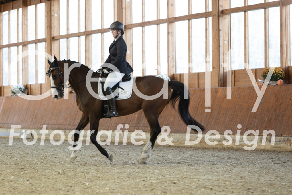 IMG_5550 | Creatify Fotografie