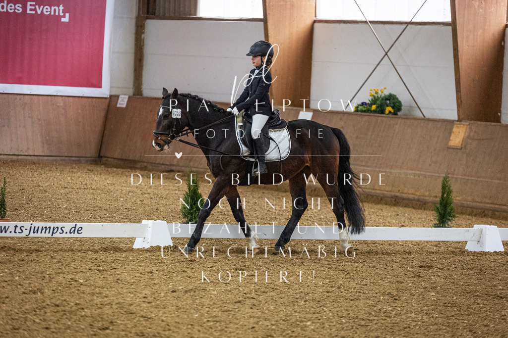 IMGT0338 | pl-fotografie