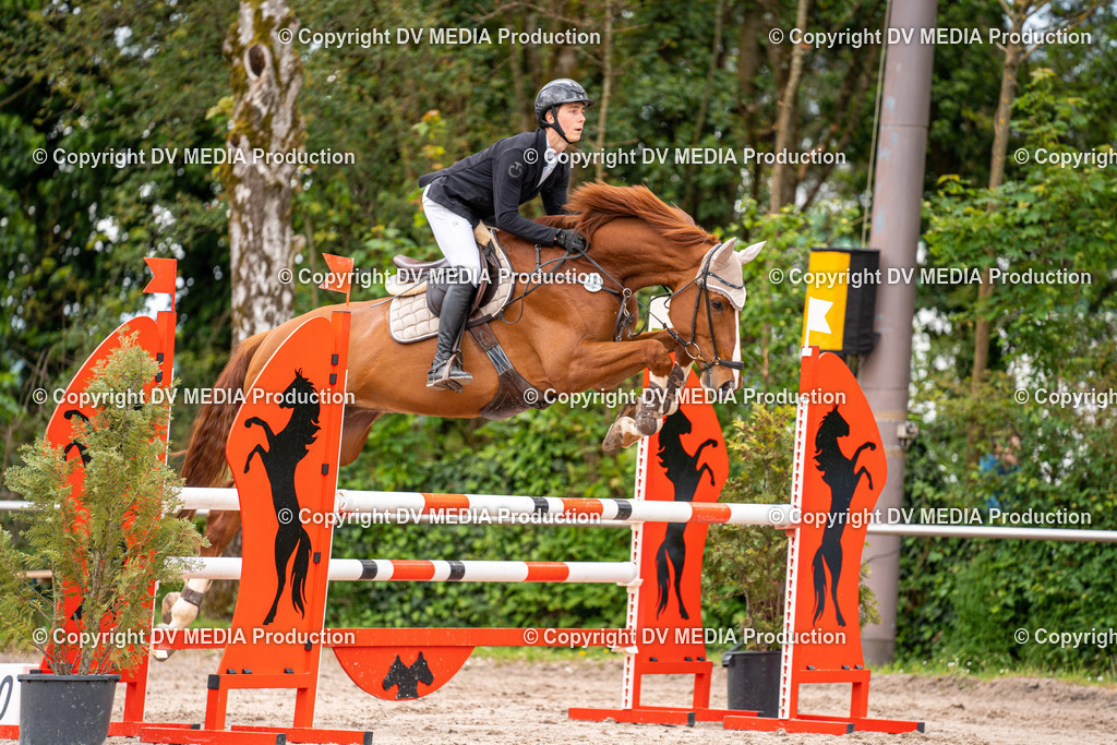 Eppelheim Tag 1-204 | dv-media-shop - Realisiert mit Pictrs.com