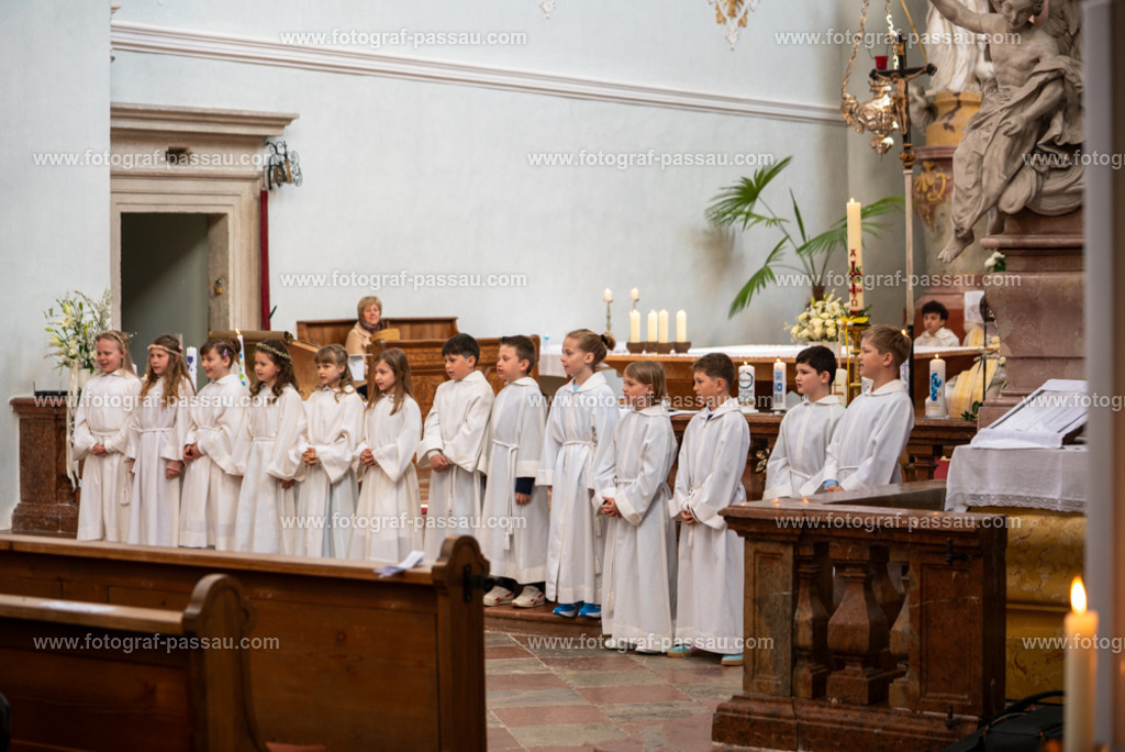 _DSC2670 | Hier finden Sie die Online Foto-Galerie von fotograf-passau.com und marius-handrugan.de. Suchen Sie sich direkt Ihre Lieblingsbilder aus, ob als Ausdruck oder Download. - Realisiert mit Pictrs.com