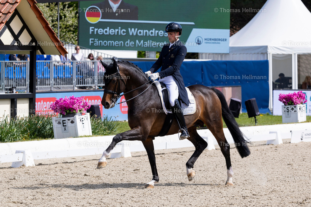 TH_333-WANDRES Frederic (GER)_ Fänomen de Malleret_36604 | Horses &amp; Dreams 2026 am 26.04.26 in Hagen a.T.W., Thomas Hellmann, 333WANDRES Frederic (GER), Fänomen de Malleret